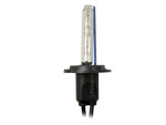 H7 Xenon HID Bulbs