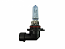 HB3 ABD Xenon Extreme White 12V 60W 9005 Halogen Bulbs (Pair)